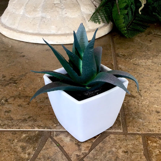 Mini White Succulent Decor